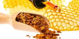 Selain Madu, Bee Propolis Lebah juga Bermanfaat Bagi Tubuh, Apa Saja?