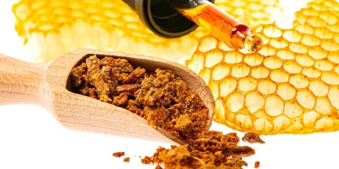 Selain Madu, Bee Propolis Lebah juga Bermanfaat Bagi Tubuh, Apa Saja?