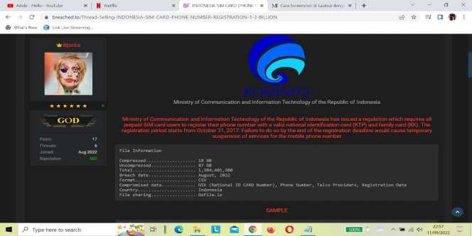 Memburu Bjorka, Garis Waktu Kebocoran Data 