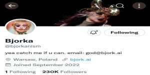 Memburu Bjorka, Menguak Masa Lalu Sang Peretas