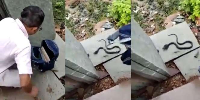 Viral! Murid Lapor Ada Benda Gerak-gerak dalam Tas Sekolahnya, Saat Digoyang-goyang Pak Guru Muncul Ular Kobra
