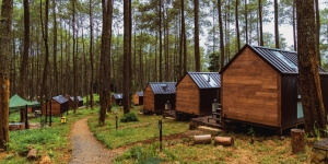 Kaya Potensi, Begini Cara Pebisnis Hotel Kapsul Dukung Sustainable Tourism di Indonesia
