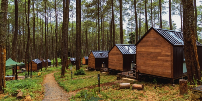 Kaya Potensi, Begini Cara Pebisnis Hotel Kapsul Dukung Sustainable Tourism di Indonesia