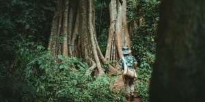 Apa Arti Kata Selulosa? Berikut Pengertian Beserta Manfaatnya