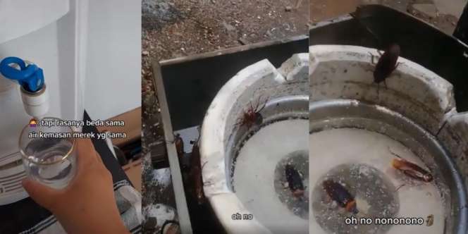 Jijik Banget! Lagi Haus Minum Air dari Dispenser Tapi Rasanya Aneh, Pas Dibongkar Ternyata Jadi Sarang Kecoak