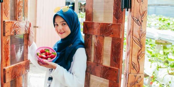 Gunakan 2 Bahan Dapur untuk Bersihkan Buah Beri
