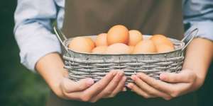 4 Cara Periksa Telur yang Busuk Tanpa Membukanya