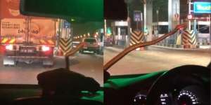 Ngeri! Pulang dari Liburan di Danau Pas Tengah Malam Tiba-tiba Muncul Ular Piton di Kaca Depan Mobil, Semua Penumpang Langsung Pucat
