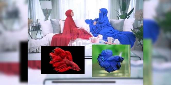 Ngakak! Pakai Baju Jubah Beda Warna Saat Bawakan Acara, Dua Artis Ini Dibilang Mirip Ikan Cupang Lagi Berhadapan
