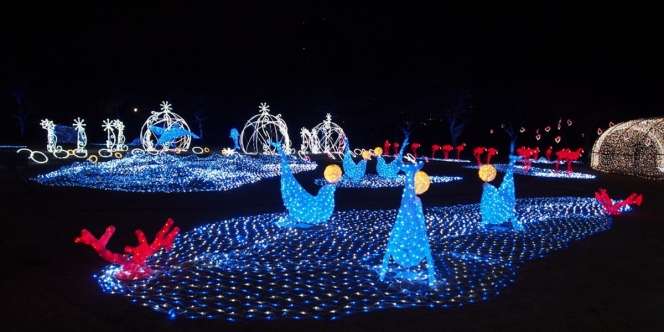 Libur Akhir Tahun di Osaka, Jangan Lupa Nikmati 'Festival of the Lights'