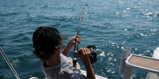 10 Arti Mimpi Mancing Dapat Ikan Besar, Siap-siap Menerima Warisan dan Kekayaan!