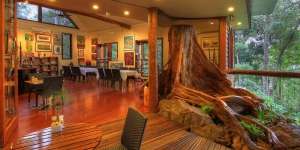 Desain Megah Rumah Pohon, Seperti Hotel Bintang Lima