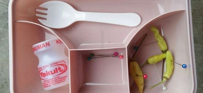 Gemas tapi Kocak, Dibawakan Bekal Oleh Keponakan Isinya Jarum