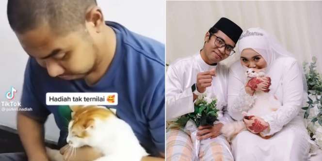 Terbiasa Momong Kucing, Reaksi Suami Dapat Kado Testpack Istri Bikin Haru