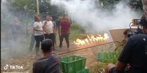Begini Fakta di Balik Layar Adegan Kebakaran Hutan di Sinetron, Bikin Geregetan