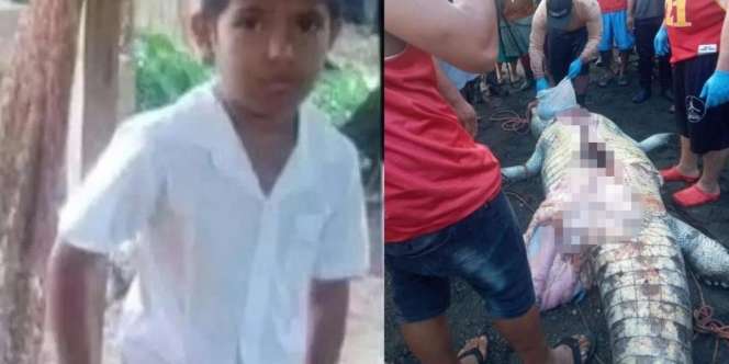 Ngeri! Buaya Raksasa Terkam Kepala Bocah dan Cabik-cabik Tubuhnya Tepat di Hadapan Orangtuanya