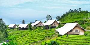 Ingin Camping Manja? Coba 5 Lokasi Glamping di Bandung