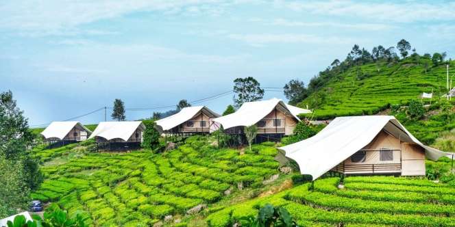 Ingin Camping Manja? Coba 5 Lokasi Glamping di Bandung