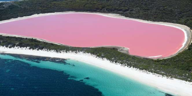 Walking On a Dream, Cara Australia untuk Bius Wisatawan Indonesia