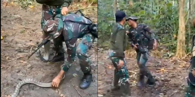 Potret Prajurit TNI Takut Pegang Ular, Endingnya Bikin Ngakak!