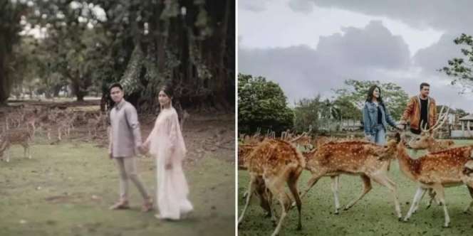 Potret Adu Gaya Prewed Kaesang VS Kahiyang