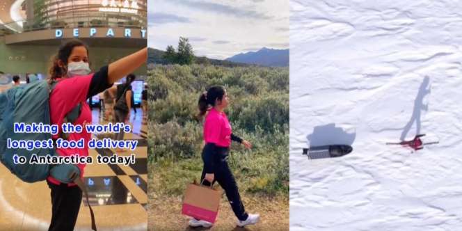 Viral! Kurir Paling Nekat Sedunia, Kirim Paket Makanan Sejauh 30 Ribu Km hingga ke Antartika