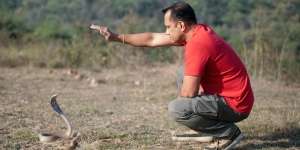 Tips dan Doa Mengusir Ular Agar Aman Buat Pemilik Rumah dan Si Reptilia
