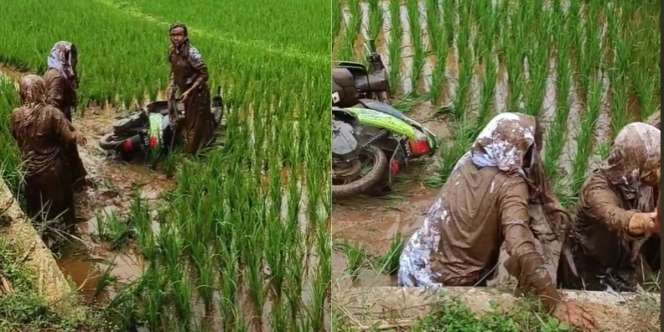 Viral 3 Siswi Boncengan Naik Motor Nyungsep ke Sawah, Wajahnya Tak Dikenali Gara-Gara ini