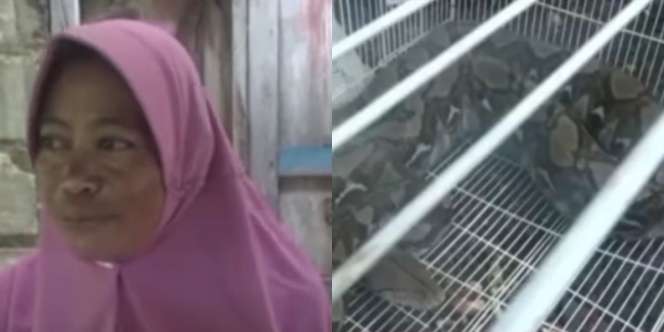 Ngeri! Emak-Emak Ini Berhasil Tangkap Ular Piton Raksasa, Netizen: Jiwa Lelakiku Meronta