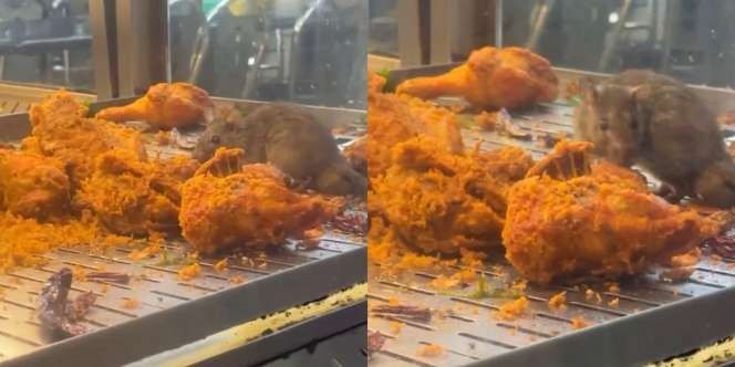Viral Video Ayam Goreng dalam Etalase Dijamah Tikus, Kini Warung Makan Ditutup Aparat