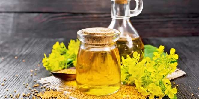 Segudang Manfaat Mustard Oil, Begini Cara Meraciknya untuk Redakan Batuk dan Sesak