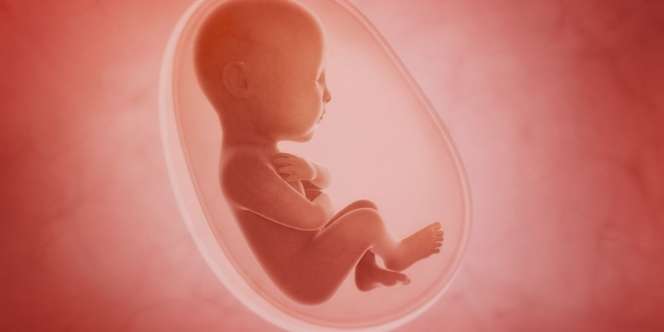 Konsep Rahim Buatan Ini Mampu 'Hasilkan' 30 Ribu Bayi Pertahun, bak Pabrik