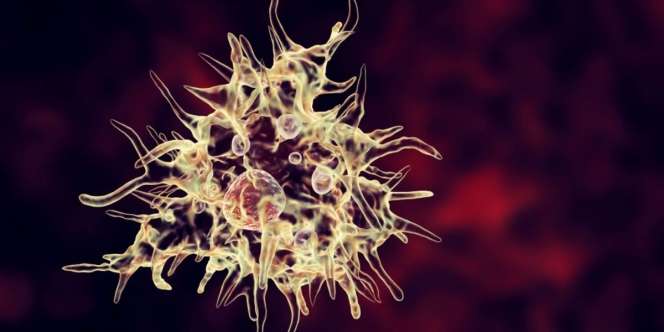 Waspada Serangan Amoeba Pemakan Otak, 3 Negara Laporkan Kasus Kematian