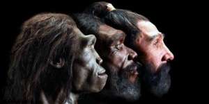 Antropolog Ungkap Kemungkinan Manusia Purba Mirip Hobbit Masih Hidup di Hutan Flores