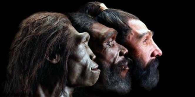 Antropolog Ungkap Kemungkinan Manusia Purba Mirip Hobbit Masih Hidup di Hutan Flores