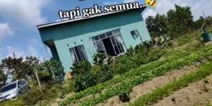 9 Potret Rumah Mewah di Tengah Sawah, Dalamnya Bak Toko IKEA, Ada Minibar & Kolam Renang!