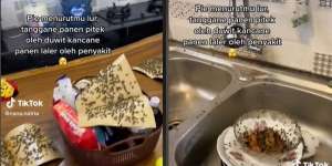 Potret Rumah Mewah Berubah Jadi Sarang Lalat, Ternyata Ulah Tetangga Peternak Ayam, Merinding Lihatnya!
