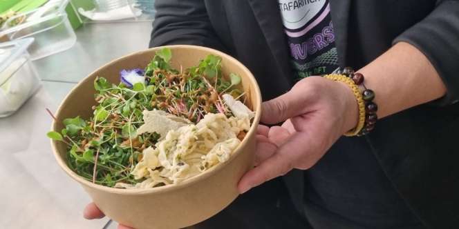 Panen Sayur Langsung dari Pertanian Artificial Intelligence, Bisa Langsung Disantap
