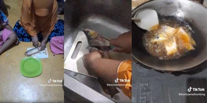 Viral, Dua Anak di Sumut Goreng dan Santap Ikan Arwana Seharga Rp5 Juta Milik Bapaknya
