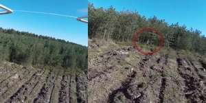 Viral Video Penampakan Sosok Penunggu Hutan Angker Berwujud Anak Kecil Bermata Hitam