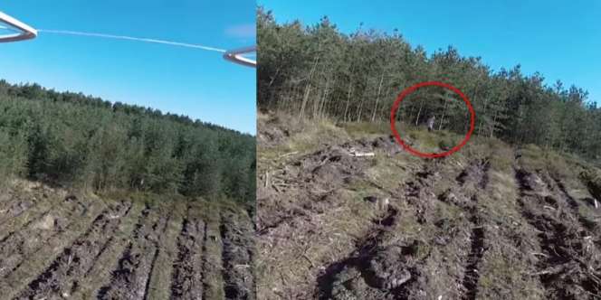 Viral Video Penampakan Sosok Penunggu Hutan Angker Berwujud Anak Kecil Bermata Hitam