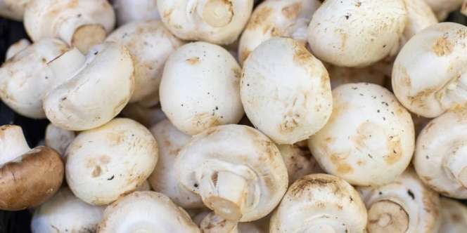Jamur Ternyata Tak Boleh Dicuci Sebelum Dimasak, Chef Ungkap Alasannya