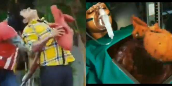 Adegan Absurd Film India Ini Bikin Mikir Keras, Jantung Terbang ke Rumah Sakit