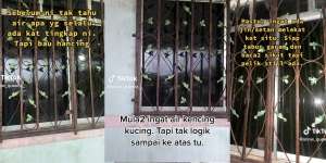 Jendela Selalu Basah oleh Cairan Hitam Berbau Busuk, Dikira Ulah Makhluk Halus, Setelah Dipasang Kamera Pelakunya Tak Terduga