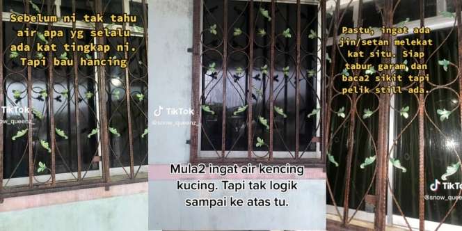 Jendela Selalu Basah oleh Cairan Hitam Berbau Busuk, Dikira Ulah Makhluk Halus, Setelah Dipasang Kamera Pelakunya Tak Terduga