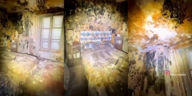 Potret Kamar Penuh Jamur di Lantai, Dinding, Atap, hingga Kasur, Saking Tebalnya Terlihat Seperti Bedcover