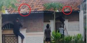 Heboh Bayi Merangkak ke Atas Genteng, Bikin Gemetar, Semua Orang Bingung Cara Naiknya