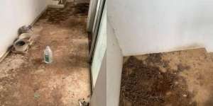 Potret Kontrakan Disewa Orang Ngaku Pecinta Kucing, Kondisinya Bikin Merinding!