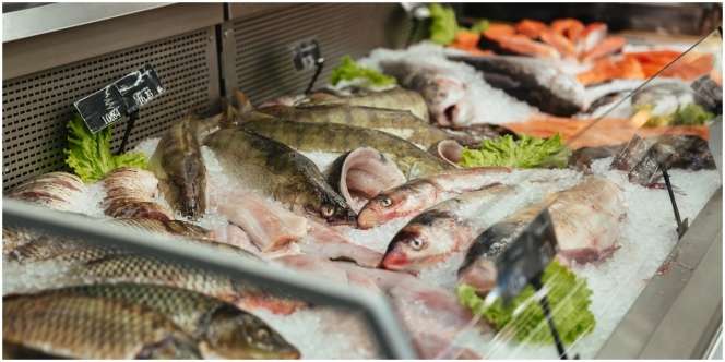8 Arti Mimpi Membeli Ikan, Ada Kesempatan Kedua yang Jangan Sampai Disia-siakan