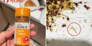 Sekeluarga Makan Pizza di Resto Terkenal, Sudah Habis Separuh Baru Lihat Banyak Belatungnya